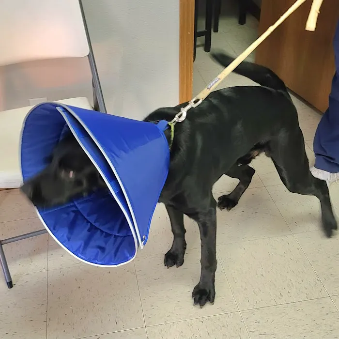 Bayliff Veterinary Services Picture 3