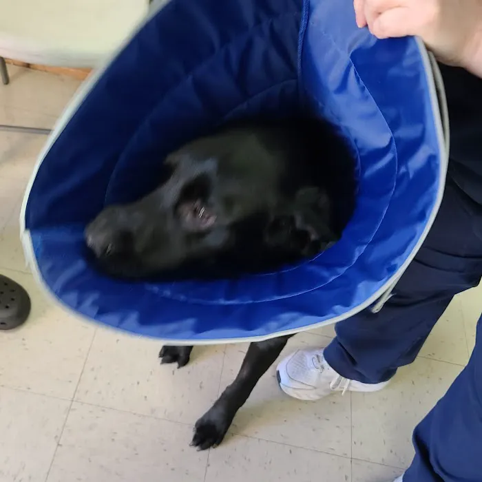 Bayliff Veterinary Services Picture 5