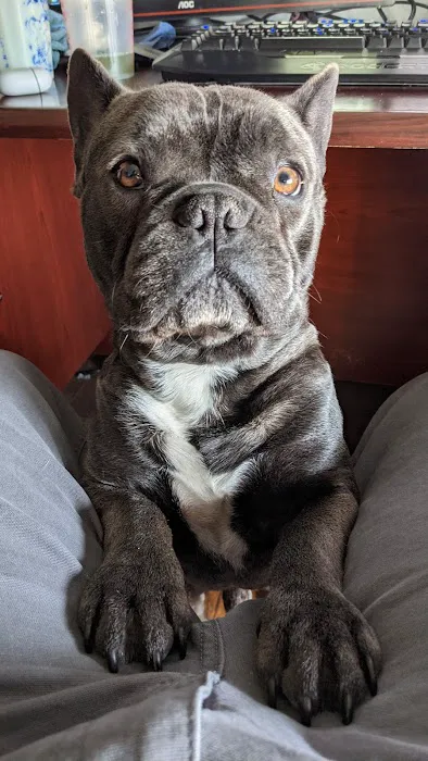 Bayliff Veterinary Services Picture 10