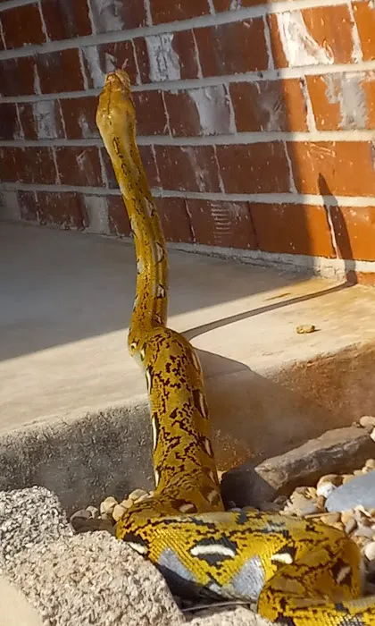 Dr. Nita McNeill Picture 1