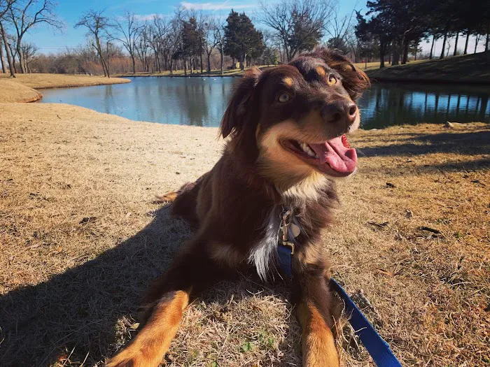 Mustang Animal Health Clinic Picture 1