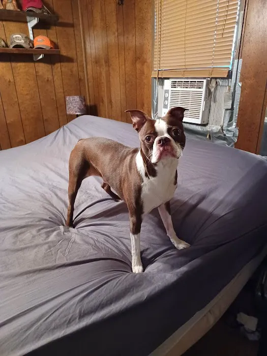 Mustang Animal Health Clinic Picture 3