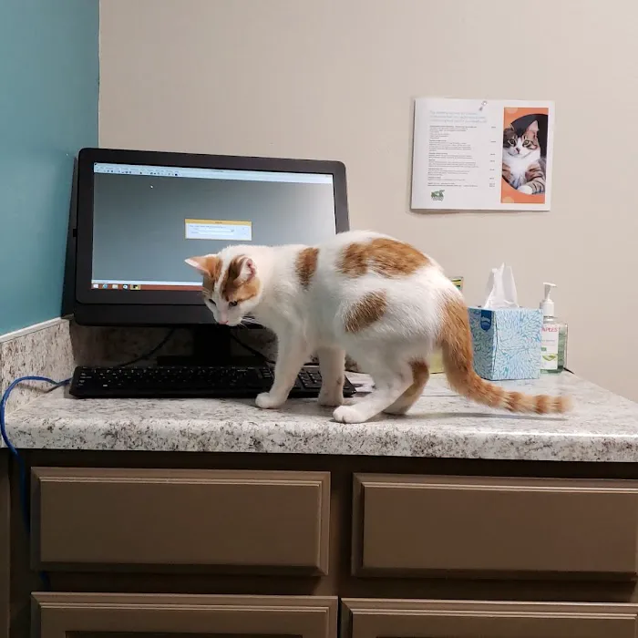 Mustang Animal Health Clinic Picture 2