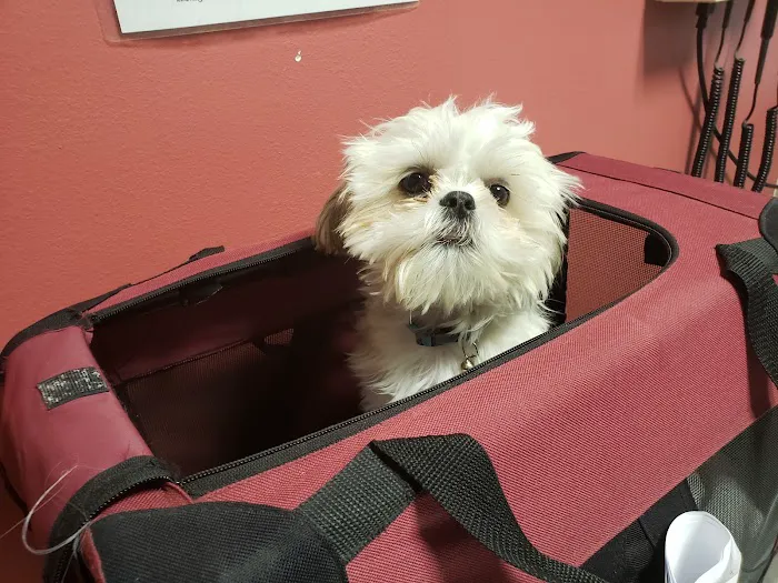 Mustang Animal Health Clinic Picture 7