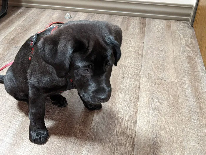 Mustang Animal Health Clinic Picture 6