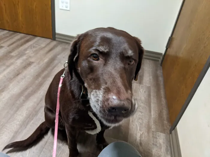 Mustang Animal Health Clinic Picture 5