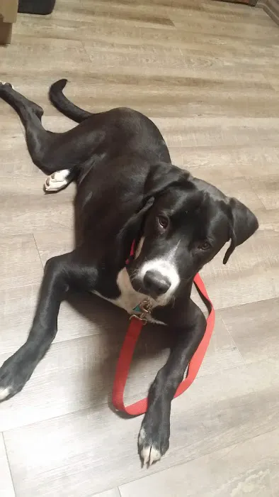 Mustang Animal Health Clinic Picture 10