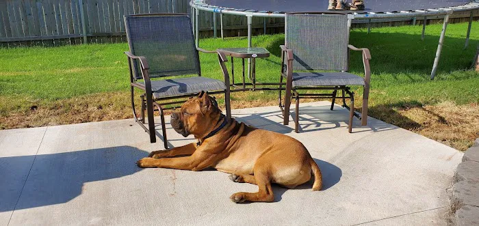 Mustang Animal Health Clinic Picture 9