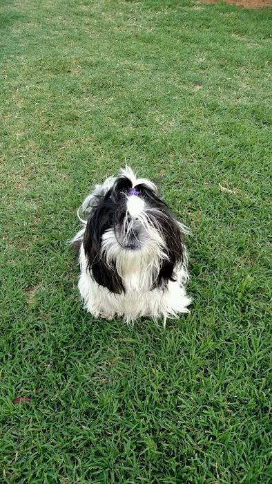 Dr. Terry Wood, DVM Picture 2