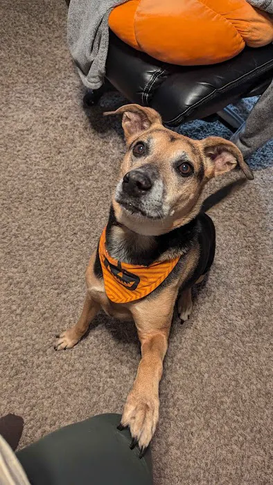 Dr. Terry Wood, DVM Picture 1