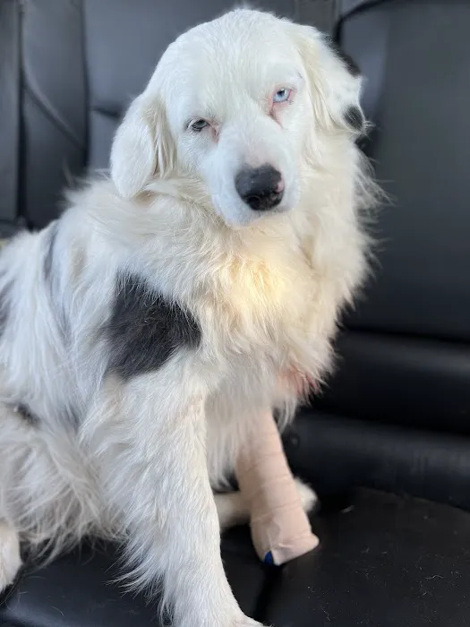 Dr. Terry Wood, DVM Picture 3