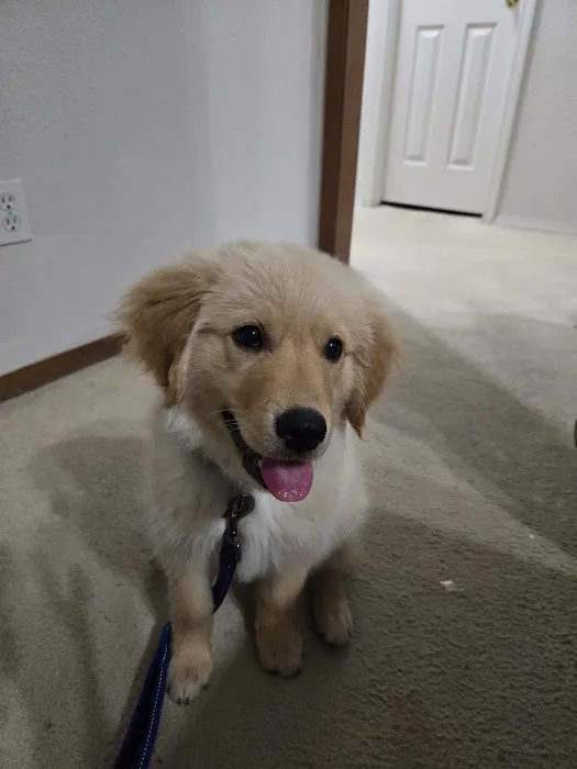 Dr. Terry Wood, DVM Picture 5