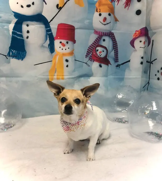 Dr. Terry Wood, DVM Picture 6