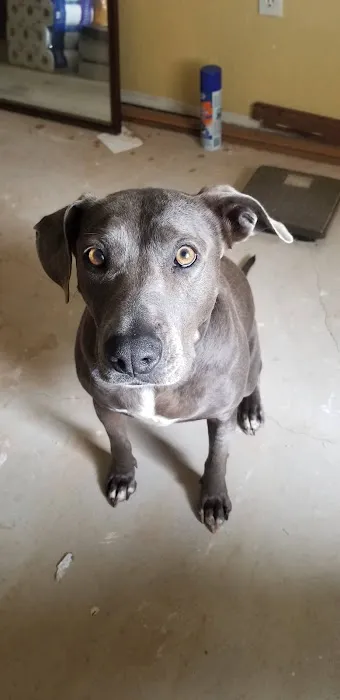 Dr. Terry Wood, DVM Picture 10