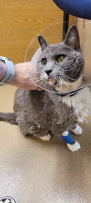 Yukon Pet Care Clinic Picture 4