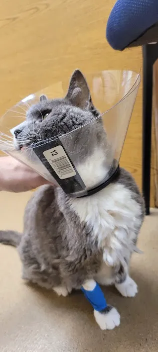 Yukon Pet Care Clinic Picture 3