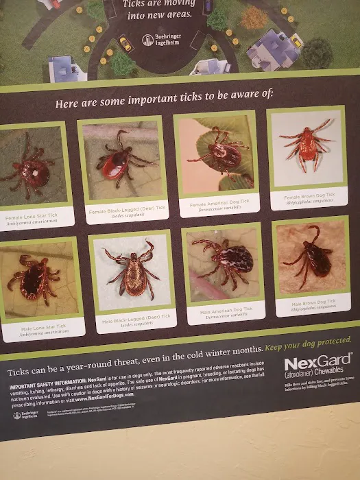 Yukon Pet Care Clinic Picture 6