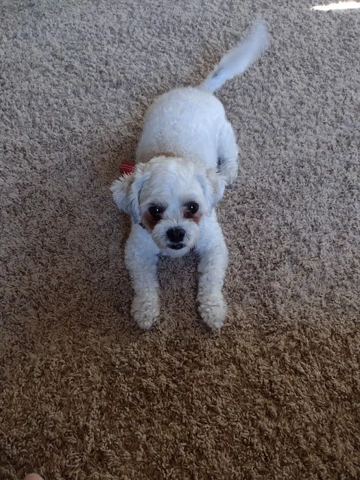 Yukon Pet Care Clinic Picture 5