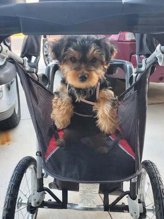 Yukon Pet Care Clinic Picture 8