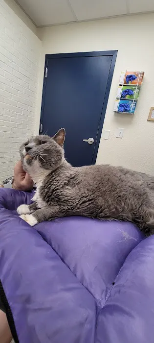 Yukon Pet Care Clinic Picture 7