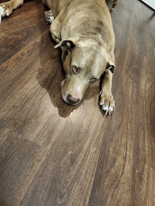 Yukon Veterinary Hospital Picture 1