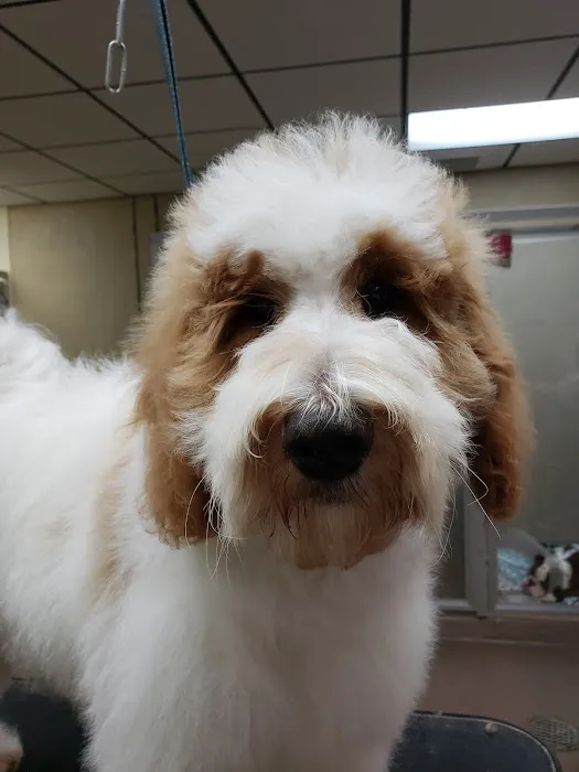 Yukon Veterinary Hospital Picture 3