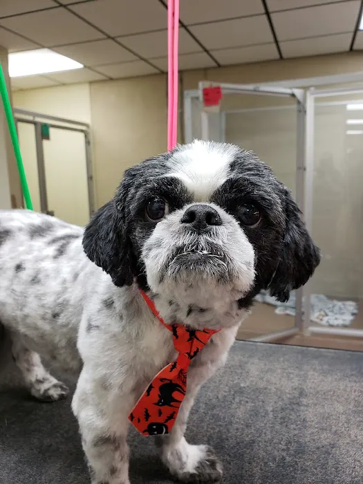 Yukon Veterinary Hospital Picture 2