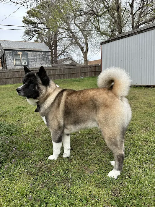 Yukon Veterinary Hospital Picture 6