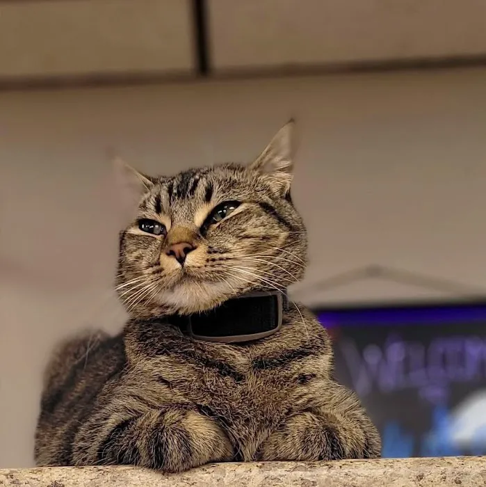 Yukon Veterinary Hospital Picture 7