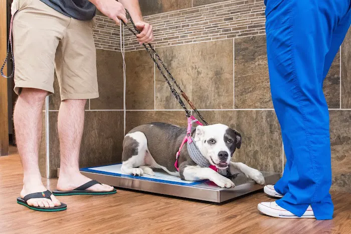 Yukon Veterinary Hospital Picture 9