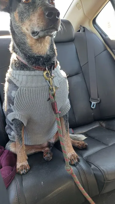 West Yukon Animal Hospital Picture 1