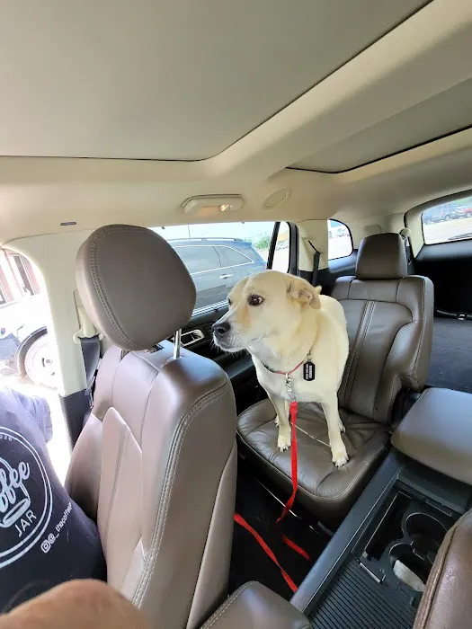 West Yukon Animal Hospital Picture 3