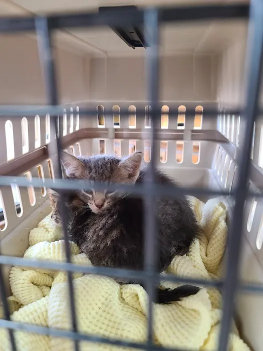 West Yukon Animal Hospital Picture 9