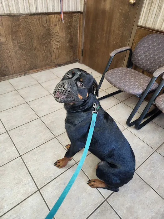 West Yukon Animal Hospital Picture 8