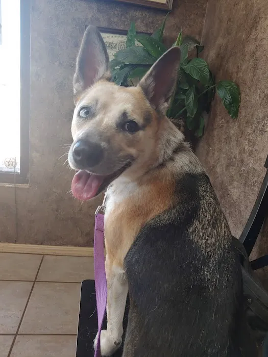 West Yukon Animal Hospital: Epperson T K DVM Picture 2