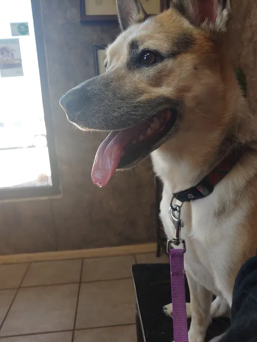 West Yukon Animal Hospital: Epperson T K DVM Picture 1