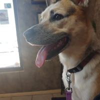 West Yukon Animal Hospital: Epperson T K DVM ico