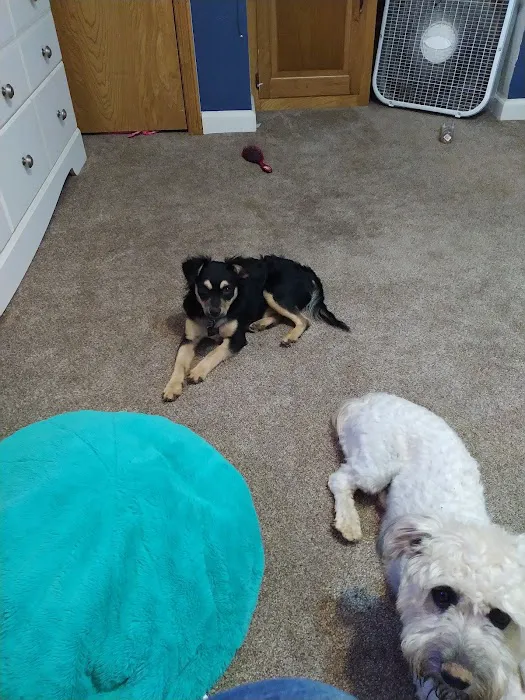 West Yukon Animal Hospital: Epperson T K DVM Picture 4