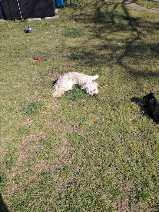 West Yukon Animal Hospital: Epperson T K DVM Picture 8