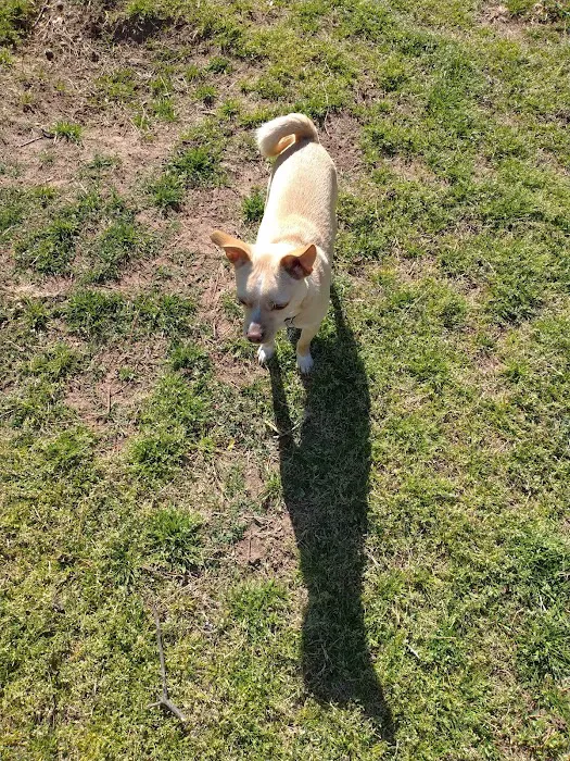 West Yukon Animal Hospital: Epperson T K DVM Picture 7