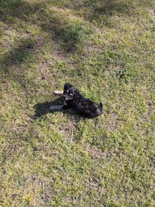 West Yukon Animal Hospital: Epperson T K DVM Picture 9