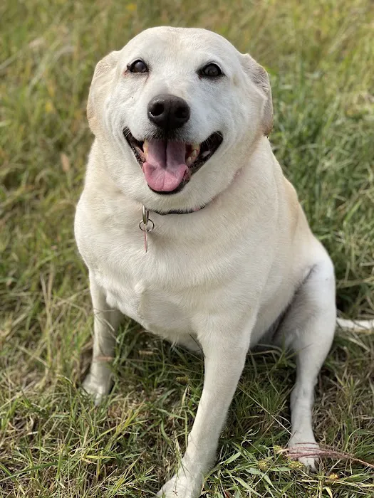 Banfield Pet Hospital Picture 3