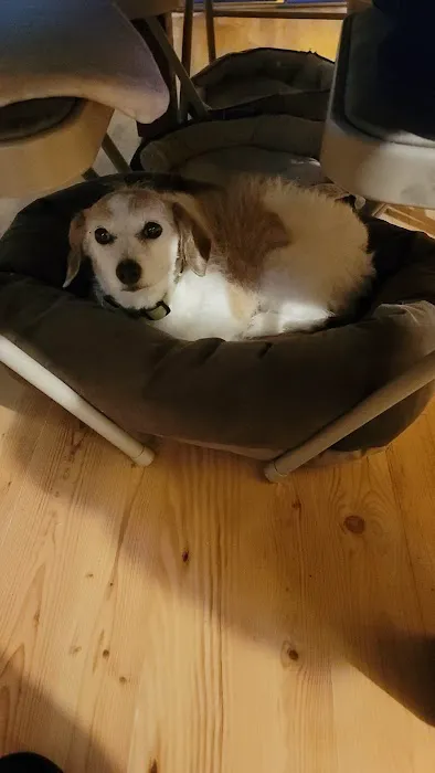 Banfield Pet Hospital Picture 1