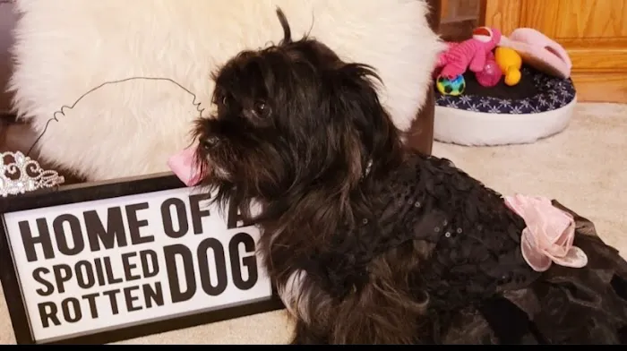 Banfield Pet Hospital Picture 2