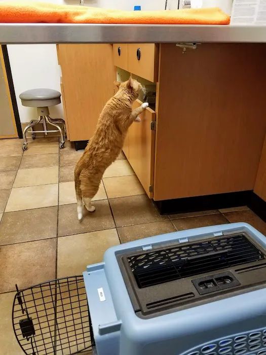 Banfield Pet Hospital Picture 5