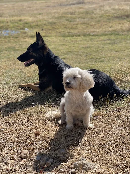 Banfield Pet Hospital Picture 6