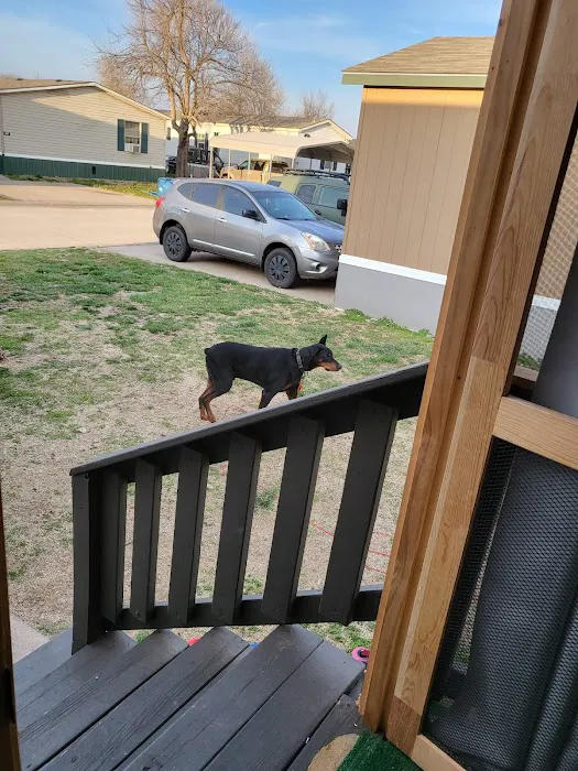 Banfield Pet Hospital Picture 9