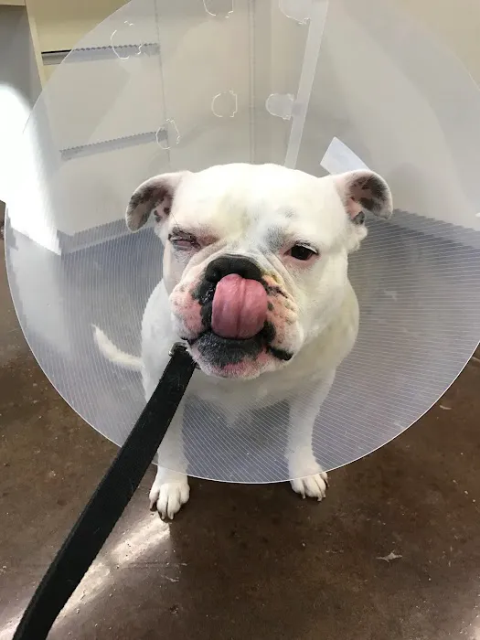 Yukon Hills Animal Hospital Picture 1