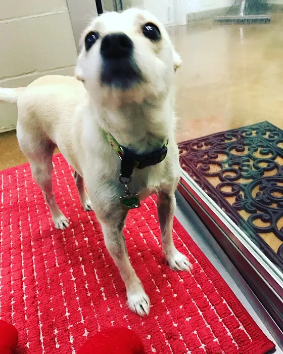 Yukon Hills Animal Hospital Picture 6