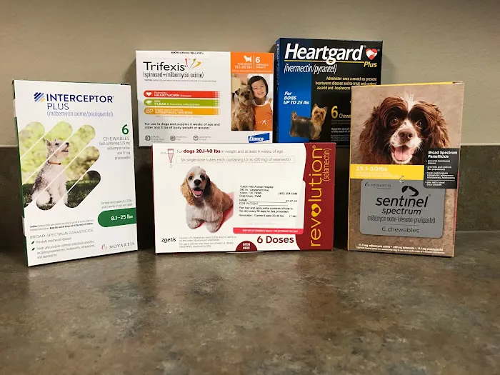 Yukon Hills Animal Hospital Picture 4